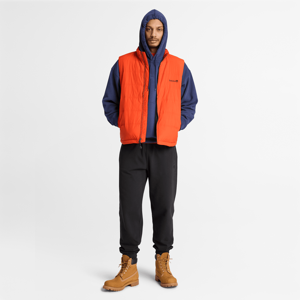 Mens Shorewood Heavyweight Core Hoodie TBL Dark Navy ALT2