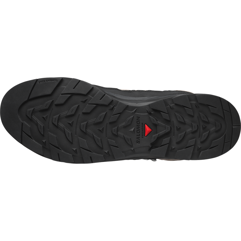 X-ALP MID LEATHER GORE-TEX - Grey