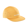 CAP 5 PANEL