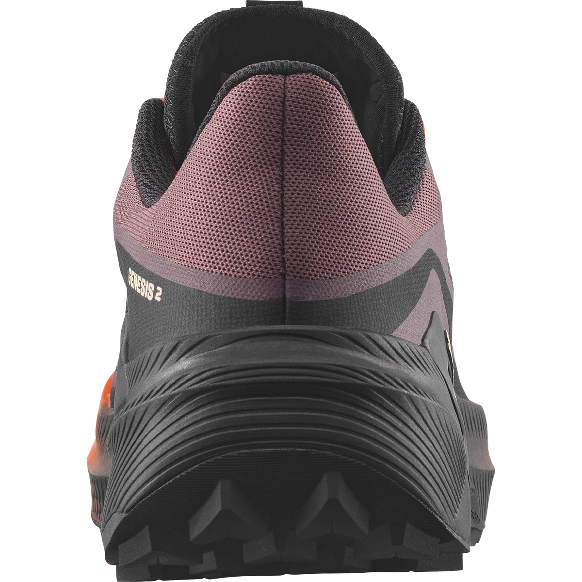 GENESIS 2 - Grey