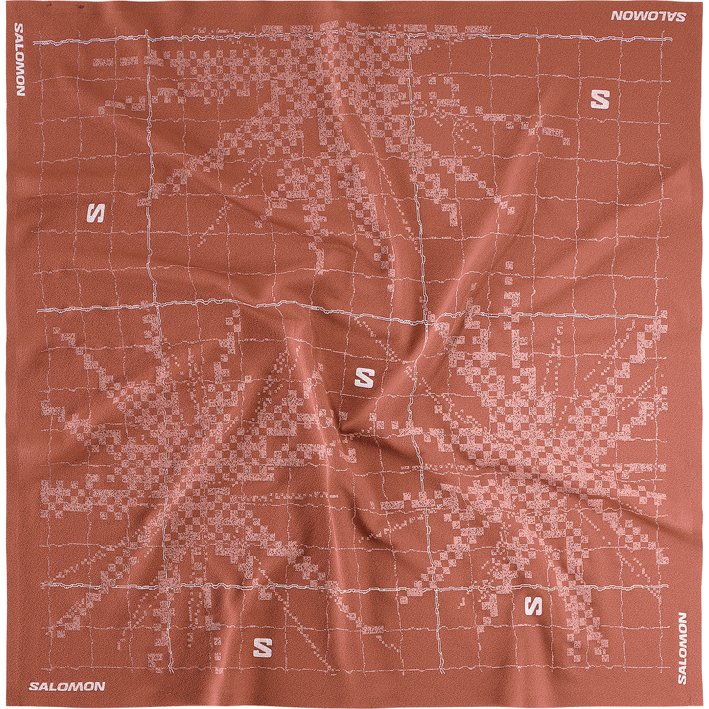 SALOMON BANDANA GRAPHIC - Brown
