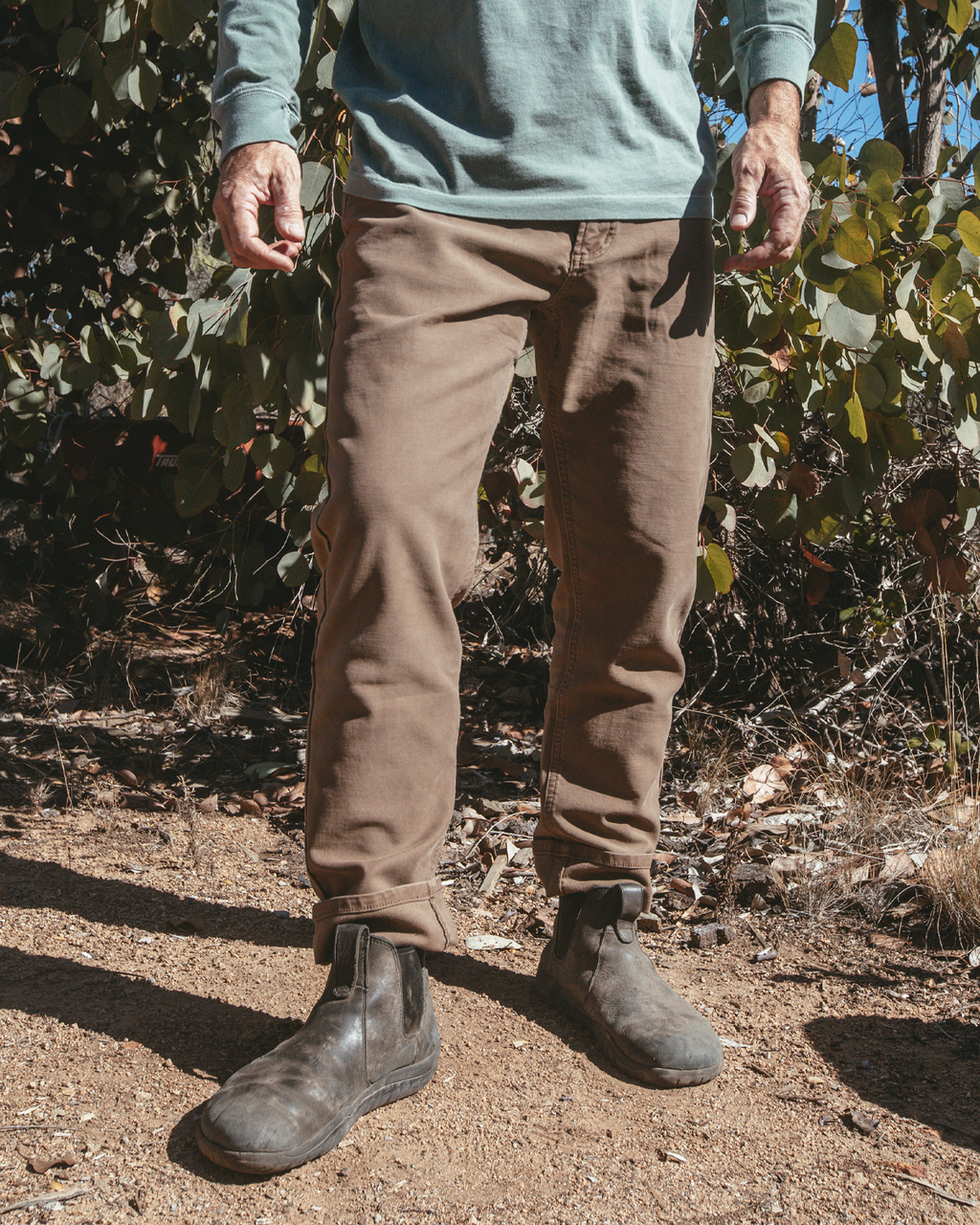 Everyday Pant