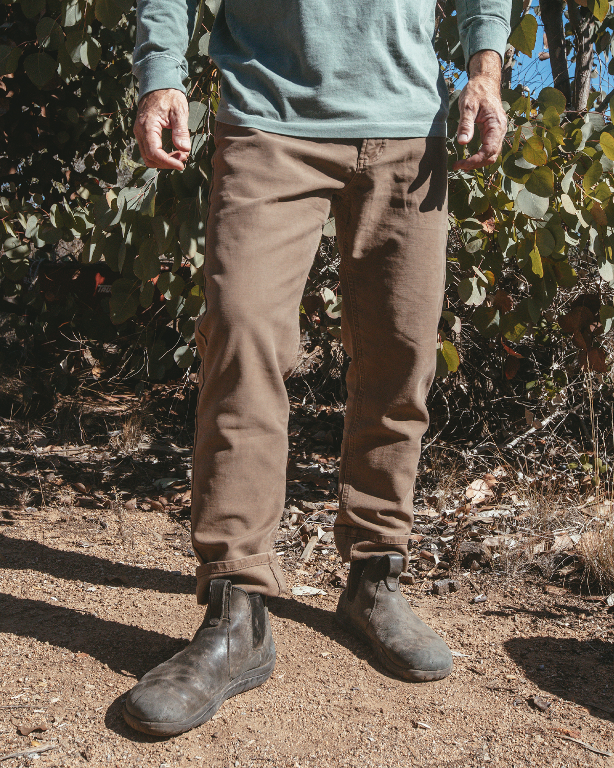 Everyday Pant