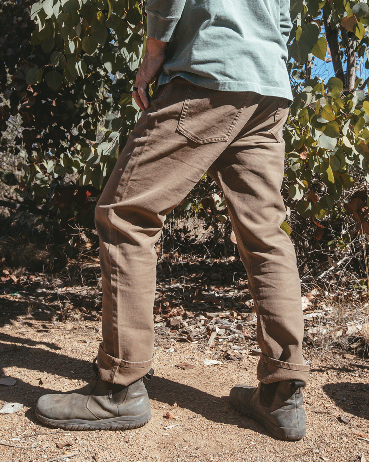Everyday Pant