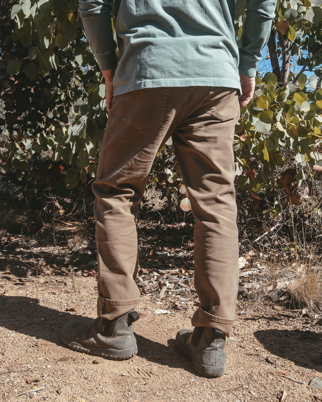 Everyday Pant