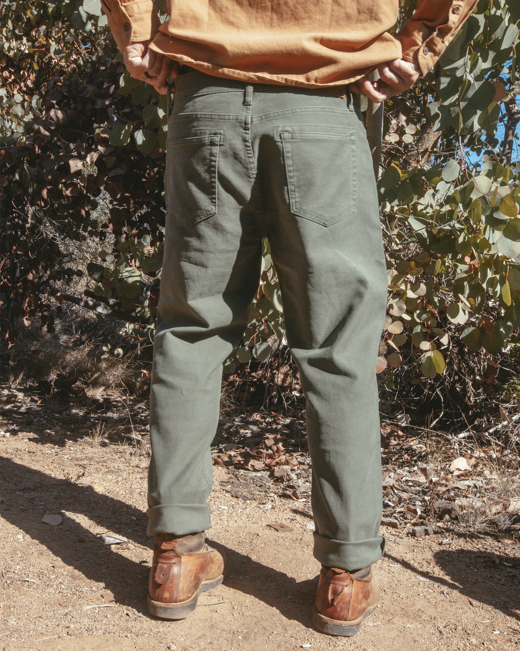 Everyday Pant