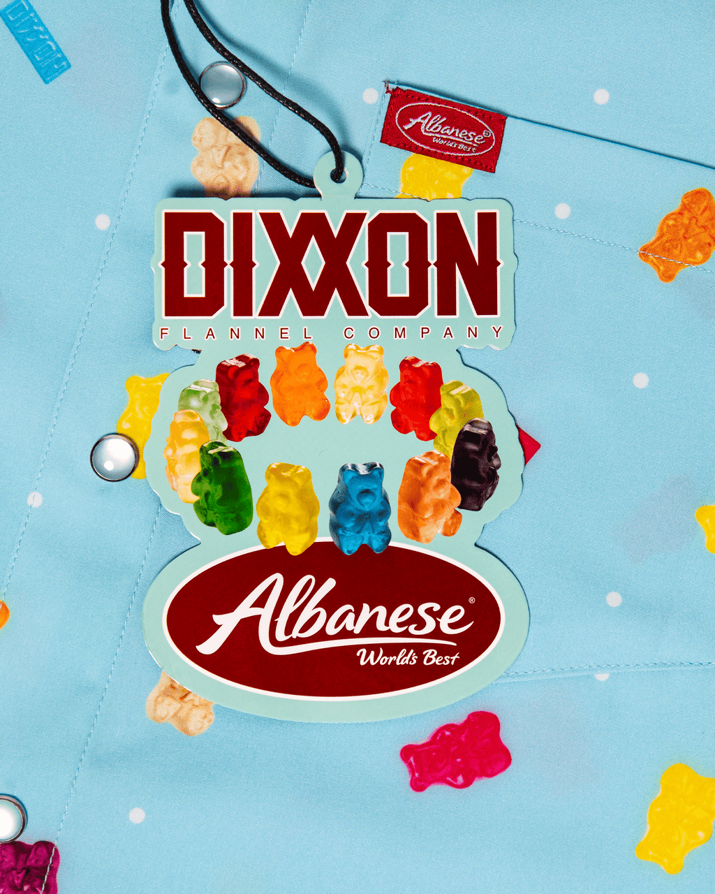 Albanese Party Shirt