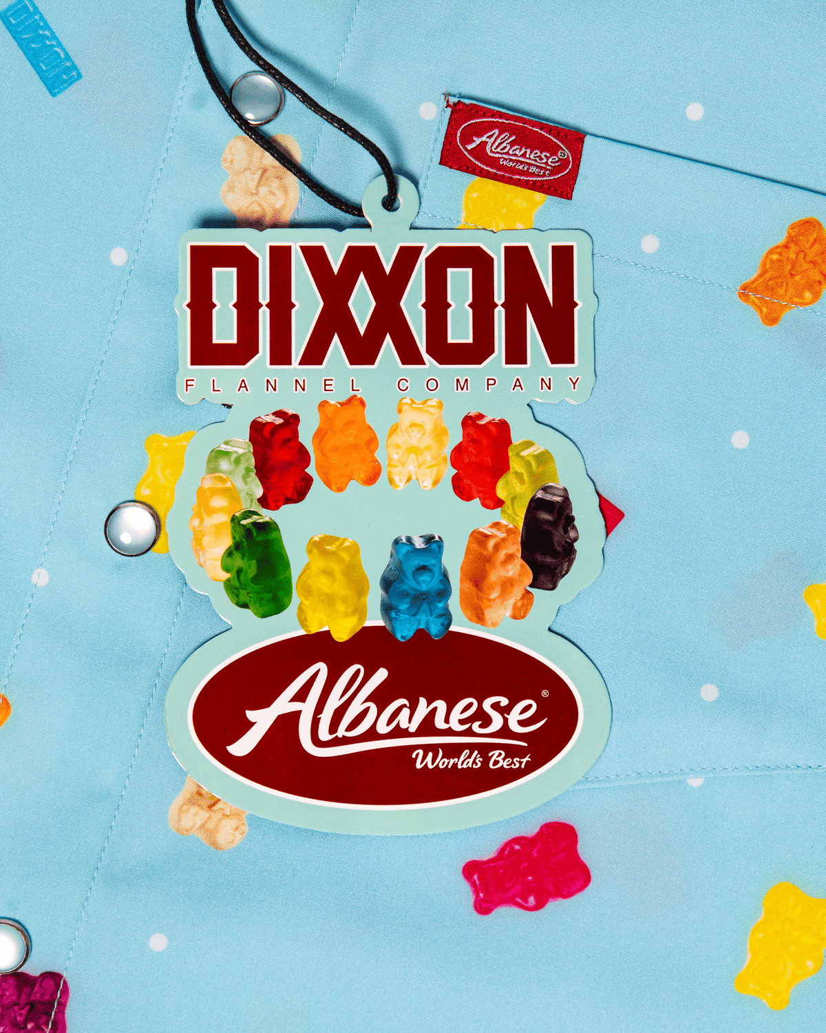 Albanese Party Shirt